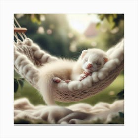 Ferret Sleeping In A Hammock Canvas Print