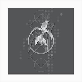 Vintage Amaryllis Botanical with Line Motif and Dot Pattern in Ghost Gray n.0246 Canvas Print