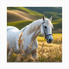 White Horse In The Field Canvas Print