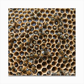 Honeycomb and Bees Canvas Print