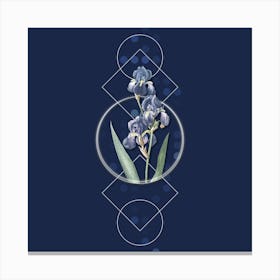 Vintage Dalmatian Iris Botanical with Geometric Line Motif and Dot Pattern n.0419 Canvas Print