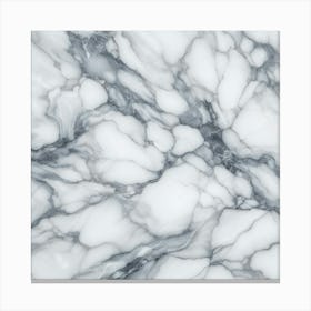 Marble Texture 1 Canvas Print