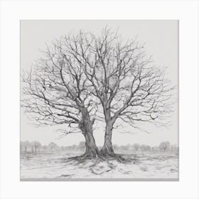 Bare Trees Canvas Print