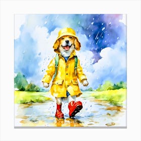 Dog In Raincoat Canvas Print