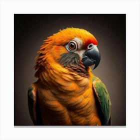 Parrot Portrait 1 Canvas Print