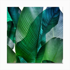 Bali Palm Leaves Blue And Green Square Canvas Print