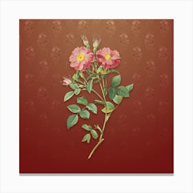 Vintage Sweetbriar Rose Botanical on Falu Red Pattern n.1957 Canvas Print