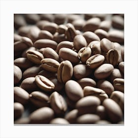 Coffee Beans 337 Canvas Print