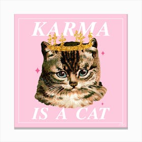 Karma Is A Cat 1 Canvas Print