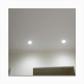 The room I'm envisioning has a high ceiling and is illuminated with bright, modern lighting fixtures that are mounted on the ceiling. Canvas Print