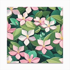 Jasmine Flowers (2) Canvas Print