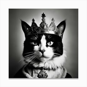 King Cat, Black And White Photography Canvas Print