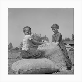 Untitled Photo, Possibly Related To Merced County, California, Farm Boys With Sacks Of Seed Peanuts By Russell Canvas Print