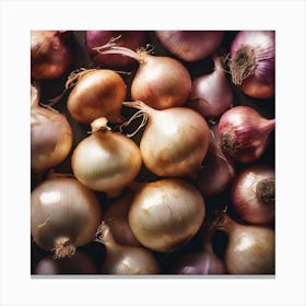 Onion Bunches 1 Canvas Print