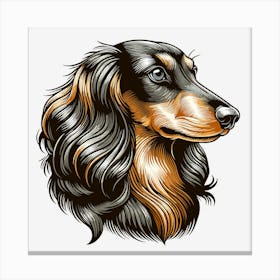 Dachshund longhair Canvas Print