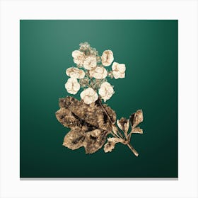Gold Botanical Oakleaf Hydrangea on Dark Spring Green n.0271 Canvas Print