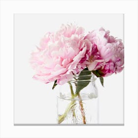 Pink Peonies In A Jar Canvas Print