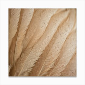 Close Up Of Feathers Canvas Print