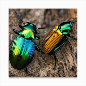 Beetle 32 Canvas Print