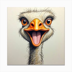 Ostrich Drawing Canvas Print