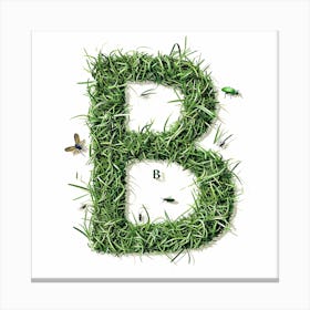 B Made Of Grass Canvas Print