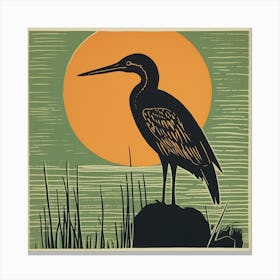 Retro Bird Lithograph Green Heron 2 Canvas Print