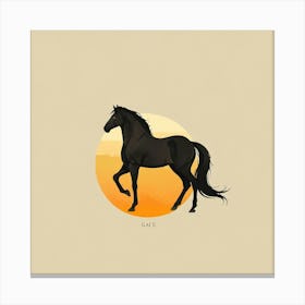 Horse In The Sun Canvas Print