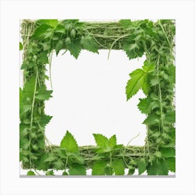 Frame Of Nettle Canvas Print