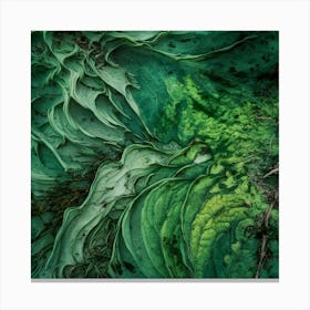 Emerald Green 2 Canvas Print