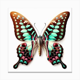 Butterfly of Graphium agamemnon Canvas Print