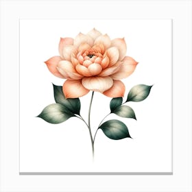 Peach Lotus Flower Canvas Print