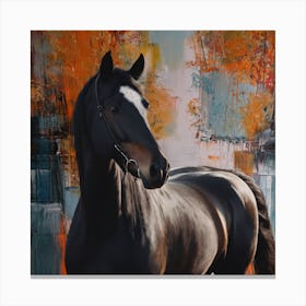 Black Horse Canvas Print