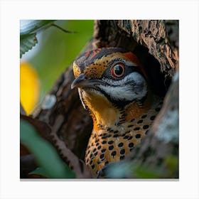 Bird In A Tree 15 Canvas Print