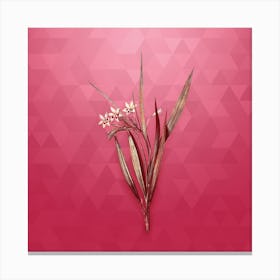 Vintage White Baboon Root Botanical in Gold on Viva Magenta Canvas Print