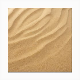 Sand Dune 7 Canvas Print