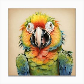 Colorful Parrot Canvas Print 1 Canvas Print