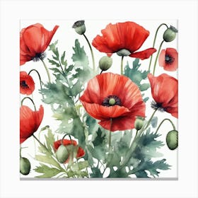 watercolour Poppies Canvas Print