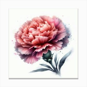 Carnation Flower 5 Canvas Print