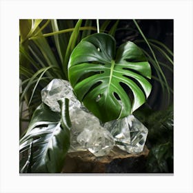 Monstera Leaves And Crystals Canvas Print