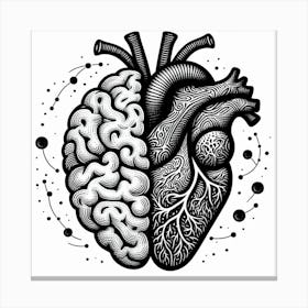 Heart And Brain Canvas Print