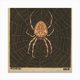 Spider On Web Canvas Print