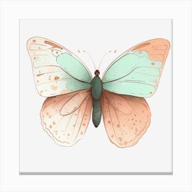 Butterfly Canvas Print