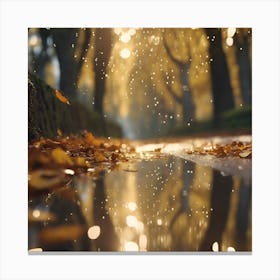 Sunlight through the Sycamore Trees on a Rainy Day Canvas Print
