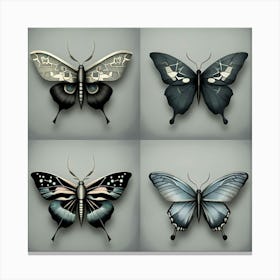 Four Butterflies Canvas Print