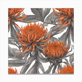 0 Waratah Orange Detailed Drawing Art Print Canvas Print