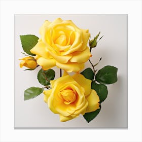 Yellow Roses 1 Canvas Print