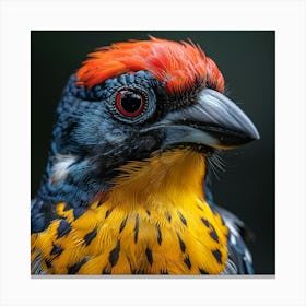 Colorful Bird 21 Canvas Print