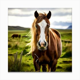 Grass Horse Rural Farm Nature Field Mammal Fast Horse Natural Animal Meadow Mane Friends (3) Canvas Print