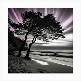 Lone Tree On The Beach Canvas Print