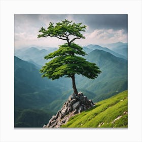 Lone Tree On Top Of Mountain 40 Canvas Print